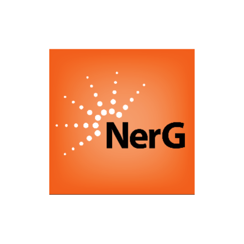 NerG Ltd logo